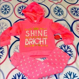 2T outfit NWT